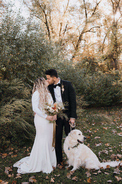 Dog in floral collar at wedding ceremony — full-service planning for pet-friendly events in NJ & NYC