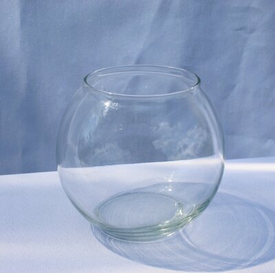 rose bowl for rent yorkton sk