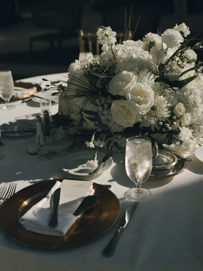 sarasota photographer, tampa photographer