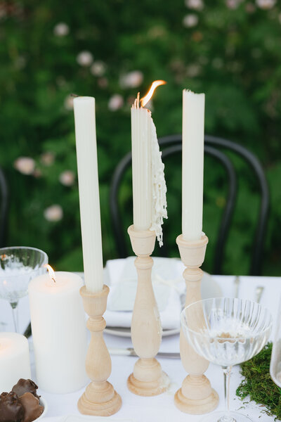 seattle_botanical_garden_dinner_party_mylaliphotos-8
