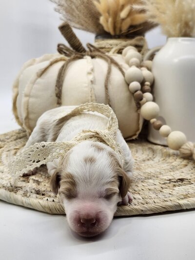 e283953e-0cbd-4d12-8f97-693cf336d486 (1)