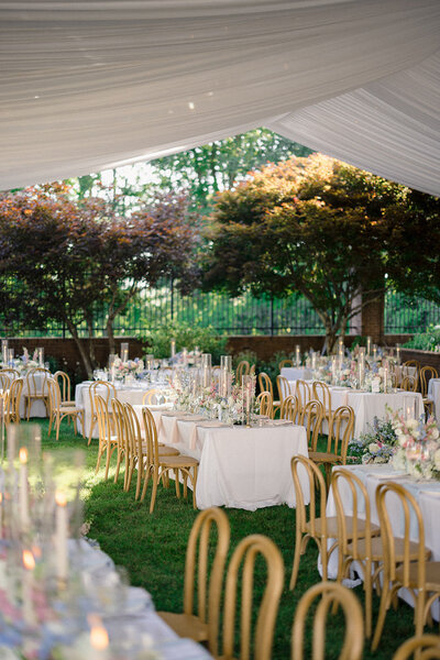 Cameron and Elizabeth Photography