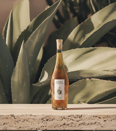 Gemini_Generated_Image_vh57drvh57drvh57