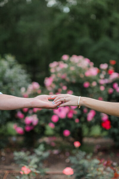 Brookeside Gardens engagement | spring engagement photo | chelsea schaefer photography