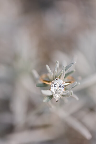 Jennifer B Photography-Bill & Shanin's Engagement Session-Sandhills Gardens and Pinrhurst NC-2020-0140