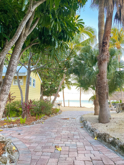 Pathway leading to the beach in the Florida Keys