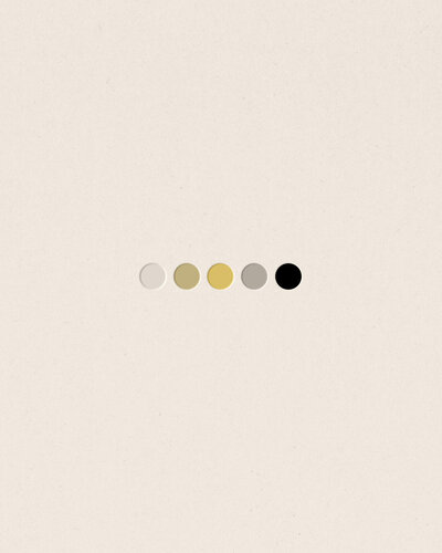 color palette for san diego photographer.