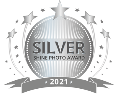 SHINE-Award-SILVER_2021