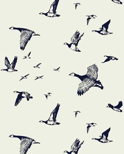 Flock-in-Flight-halcyon_900x