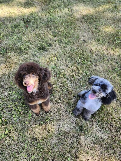 69f83595-d9c6-42b0-a536-f43d6e7a56f0