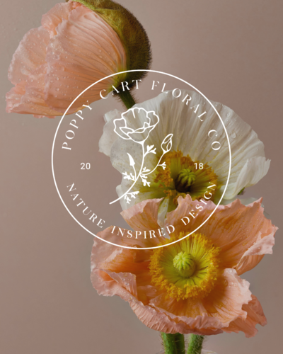 Romantic, feminine, colorful branding for a wedding florist based in central California.