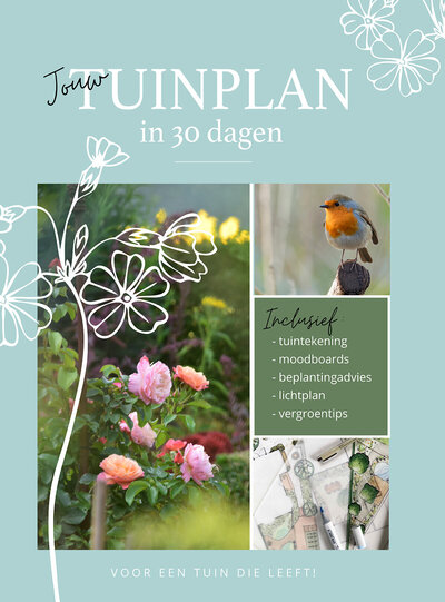Tuinplan, tuinontwerp, beplantingsplan, tuinadvies