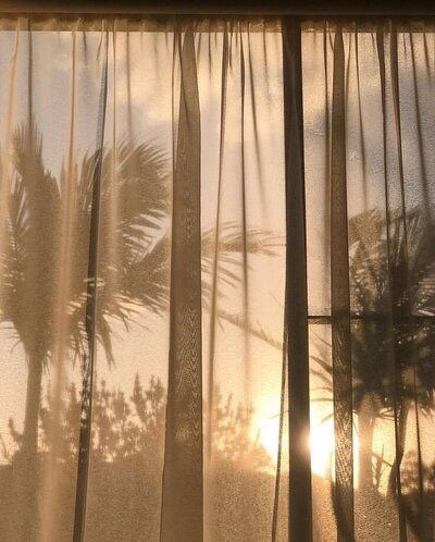 Coucher soleil palmier