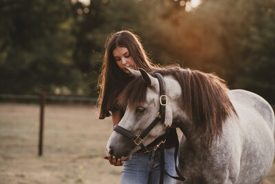 Paardenfotograaf in Beringen