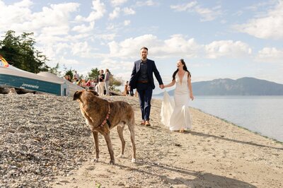 Bride and groom holding hands walking along a beach with their dog