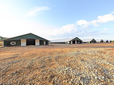 Row of 6 green poultry houses