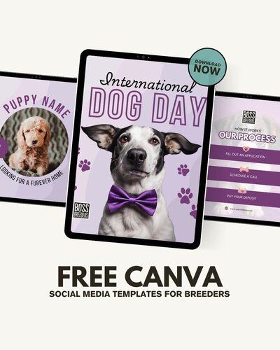 Boos Breeders Free Canva Templates