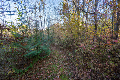 201 Richardson trails (2)