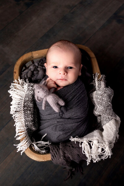 Pink Door Studio - Newborn