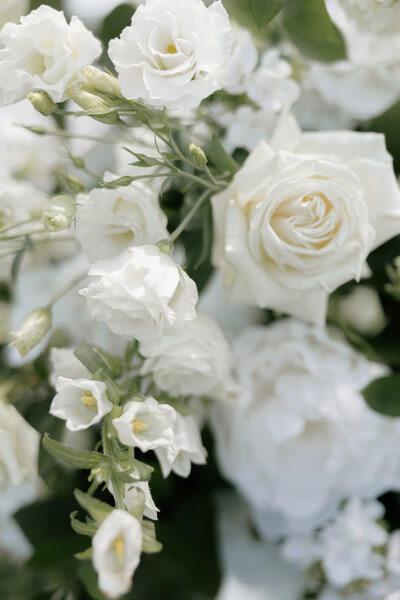 Jenna McEntee Des Moines Wedding Photographer