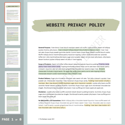 ProductPreview_WEBSITE PRIVACY POLICY