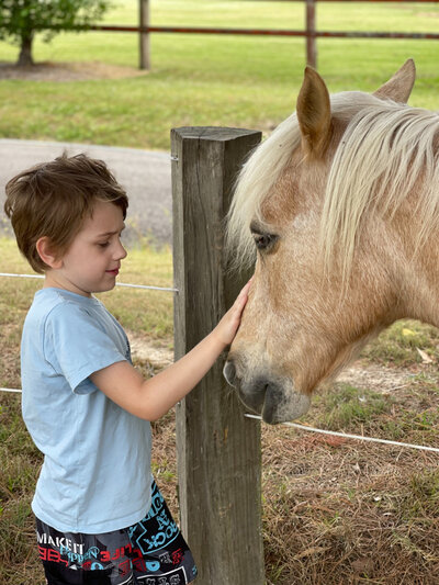 A young boy in a blue top, black pants and a cargo print hat brushing a dark brown horse