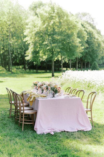 Table of Honnor in the gardens of the Château de champlâtreux surrounded by trees with brown chairs and pink linen as wells as yellow and pink floral arrangements