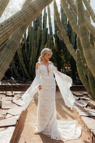The bride on her wedding day understand cacti