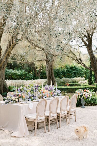 outdoor-luxury-wedding