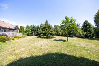 7 Virtue yard (3)