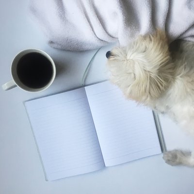 2017-02-17_17-27-57_037 (2017-02-17T23_48_41.534)