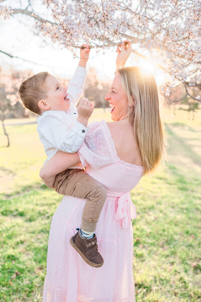 Cherry blossom photography in Howard County
