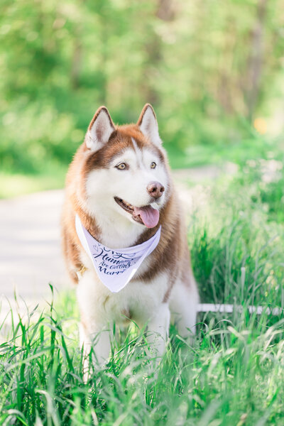 Fav-NicoletteCaseyEngaged-171