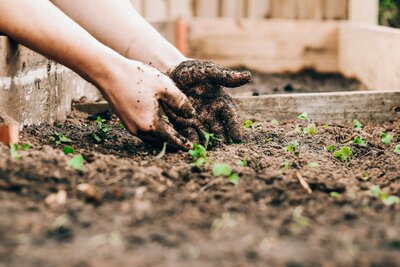 Soil care | Foodscaping Texoma | Edible Landscapes | Regenerative Farming | Permaculture designer 