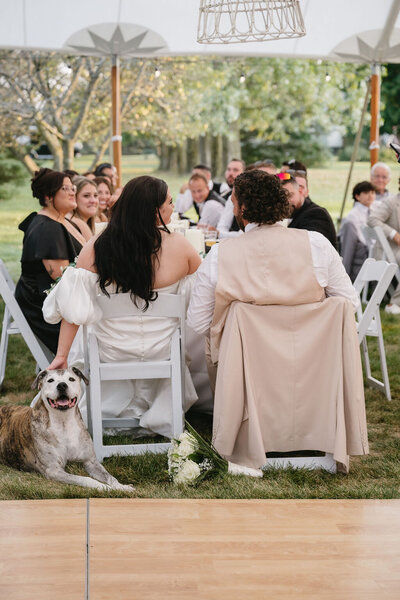 married couple sitting together during wedding toasts