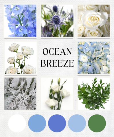 Ocean Breeze - Wedding Floral Colorway & Blooms - Just Bloom'd Weddings