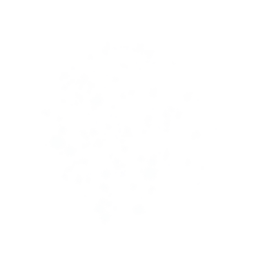 Leah Black Photography | Colorado Elopement Photographer