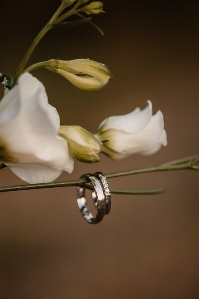 Ringen aan bloem