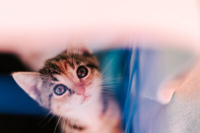 Bride and Groom having a moment on the grounds at their Valenzano Winery Wedding in Shamong NJ
