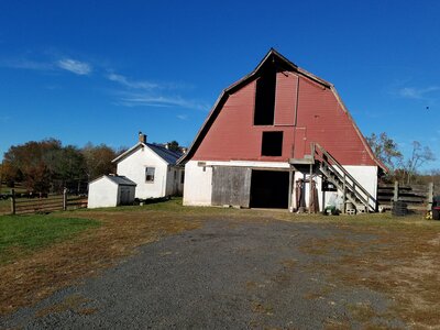 A rustic farm scene captures a red and white barn with a sloped roof nestled beside a quaint white farmhouse. Wooden barrels and an outdoor staircase add charm, while the clear blue sky frames trees and a fence in the background—experience it [here](https://halcyon-watson-1.showit.site/the-venue).