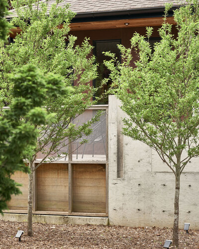Outdoor landscaping with trees next to a backyard patio