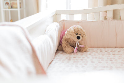 stuffed animal in baby crib