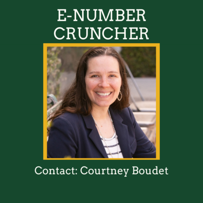 Discover Courtney Boudet of E-Number Cruncher, a trusted preferred vendor of Jamie Trull offering DIY QuickBooks support. Courtney's offerings include guidance and support for small business owners who want to handle their own bookkeeping in QuickBooks but desire extra guidance to ensure accuracy. She creates a 'shame-free zone' when it comes to financials, teaching you how to efficiently manage your own bookkeeping until you're ready to hire someone else. Contact Courtney today and let her know that Jamie Trull sent you for expert QuickBooks support tailored to your business's needs!