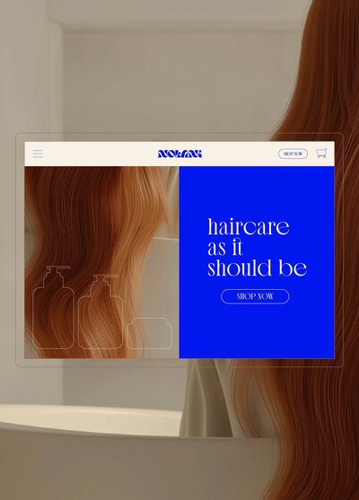 mockup of nolani website