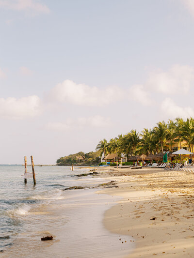 beach with hammock in the ocean and palm trees