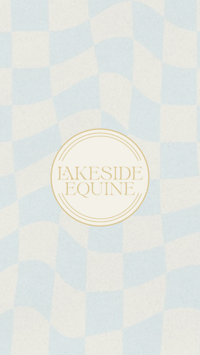 LAKESIDE EQUINE ESTATE (Instagram Reel Cover) (7)