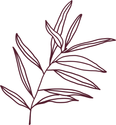 Graphic of a leaf