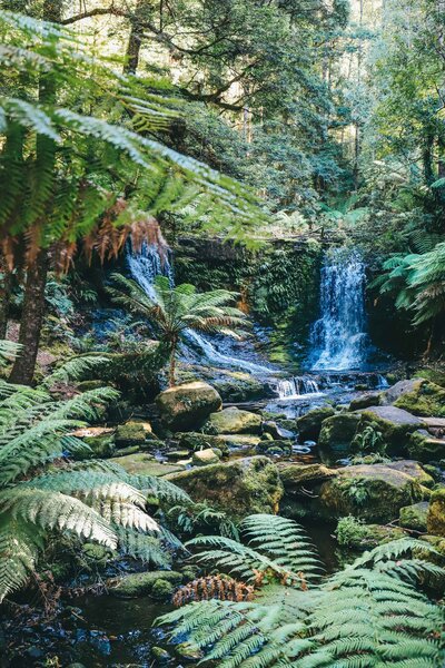 AMAZON RAINFOREST PHOTOGRAPHY WORKSHOP