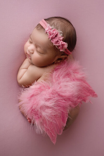 baby girl on a pik backdrop with pink butterfly wings during her morris county nj newborn ohotography session