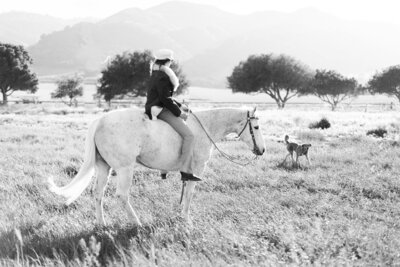 Field in Monterey County. Woman on horse with dogs.